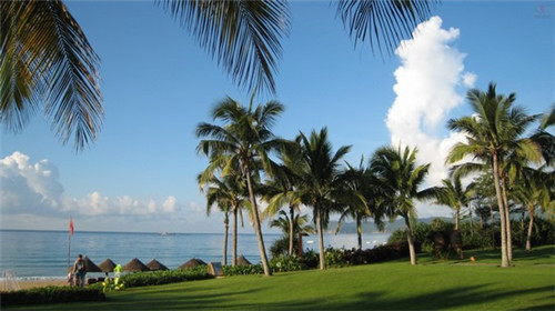 制果家抹茶冰淇淋