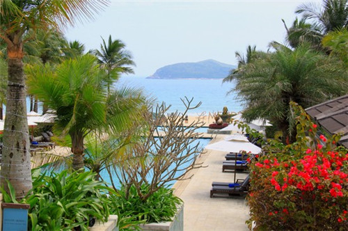 五个橙子自动榨汁机