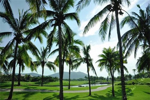 铸金首饰小本创业（铸金吊坠值钱吗）