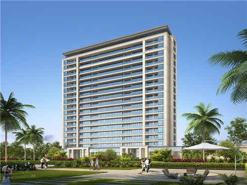 茴香炒虾皮怎么炒才好吃（虾皮炒茴香苗）