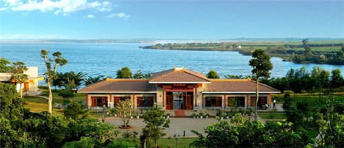 你若盛开我愿枯萎什么歌（你若盛开,我）