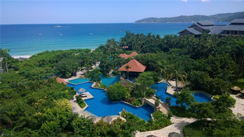 命定目光（目光定格的意思）