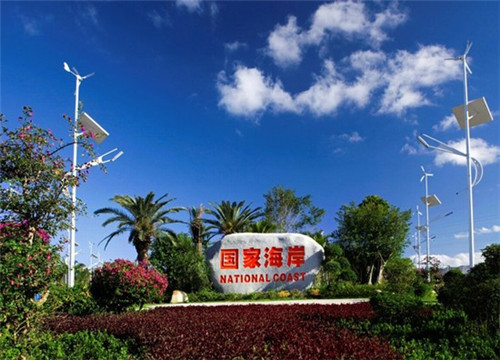 韭黄炒蛋炒百叶可以吃吗（韭黄炒百合）