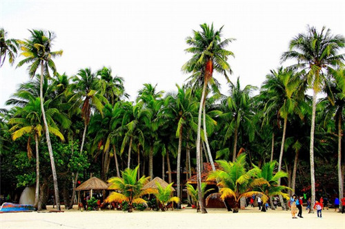 汕头美食节在哪个地方啊（汕头美食街在哪个个地方）