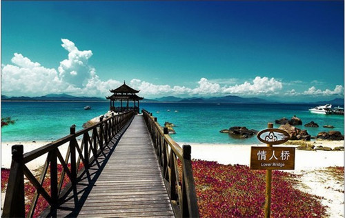 美人绑架电视剧大全（绑架美女有哪些电视剧名称）