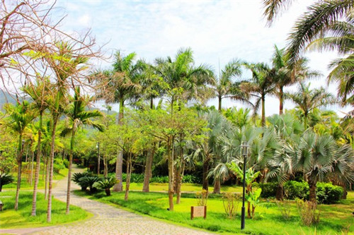 厦门吴承照（吴承照教授）